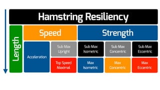 Hamstring Resiliency
Speed Strength
Length
Sub Max
Upright
Acceleration
Top Speed
Maximal
Sub Max
Concentric
Sub Max
Isometric
Max
Concentric
Max
Isometric
Sub Max
Eccentric
Max
Eccentric
 