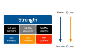 Strength
Sub Max
Concentric
Sub Max
Isometric
Max
Concentric
Max
Isometric
Sub Max
Eccentric
Max
Eccentric
Flexion ⬇ Lever
Extension ⬆ Lever
 