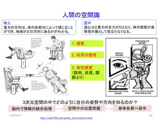 人間の空間識
1. 視覚
3. 体性感覚
（筋肉、皮膚、関
節より）
2. 内耳の感覚
脳内で情報の統合処理 空間中の位置把握 身体各部へ指令
http://code7700.com/spatial_disorientation.html
2020/6/27 59
3次元空間の中でどのように自分の姿勢や方向を知るのか？
地上
重力の方向は、体の各部分によって感じること
ができ、地球がどの方向にあるかがわかる。
空中
遠心力と重力の合力がGとなり、体の感覚が姿
勢指示器として役立たなくなる。
 