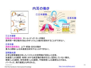 内耳の働き
FAA Pilot Handbook of Aeronautical Knowledge
①三半規管
回転角加速度検出 ロール・ピッチ・ヨーの動き
長時間一様な動きのあとのゆっくりした動きを感知することができない。
②耳石器
直線加速度検出 上下・前後・左右の動き
重力と運動による加速度を区別することができない。
空間識失調
正常な感覚機能を有したパイロットの空間識が混乱した状態。
加速度による錯覚：地球に対する航空機の動きを正しく認知していない場合。
視覚による錯覚、体性感覚による錯覚、平衡感覚による錯覚などがある。
バーティゴ、飛行錯覚とも呼ばれる。
2020/6/27 60
http://www.skybrary.aero/i
①三半規管
②耳石器
 