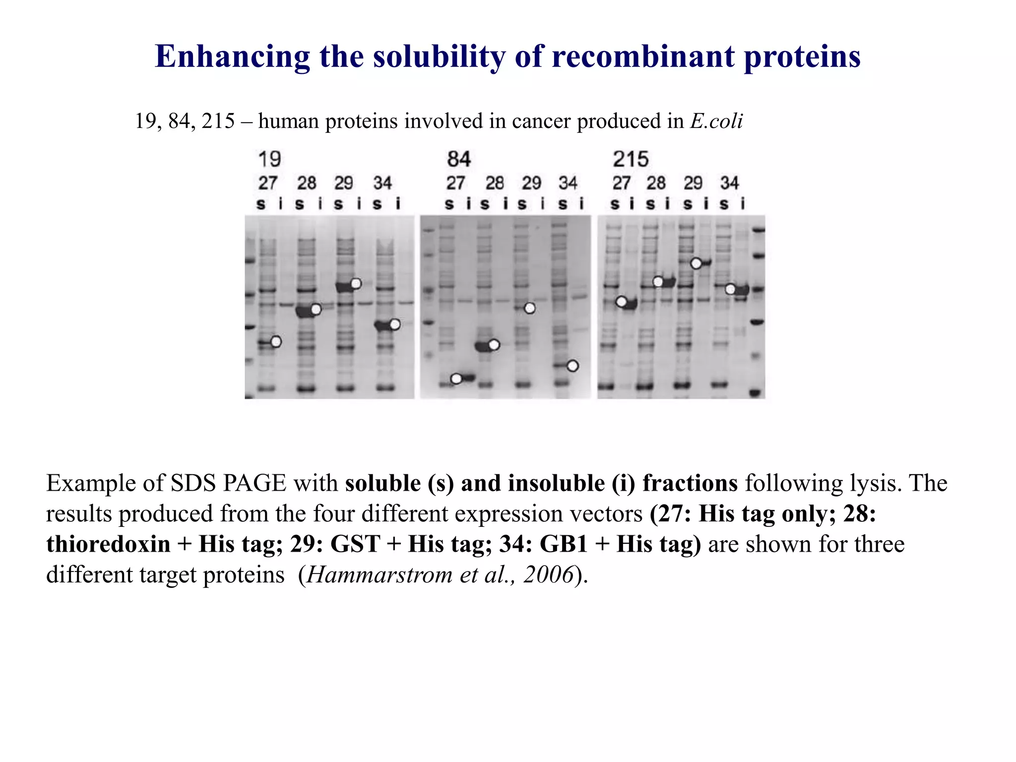 Fussion protein and affinity Purification | PPT