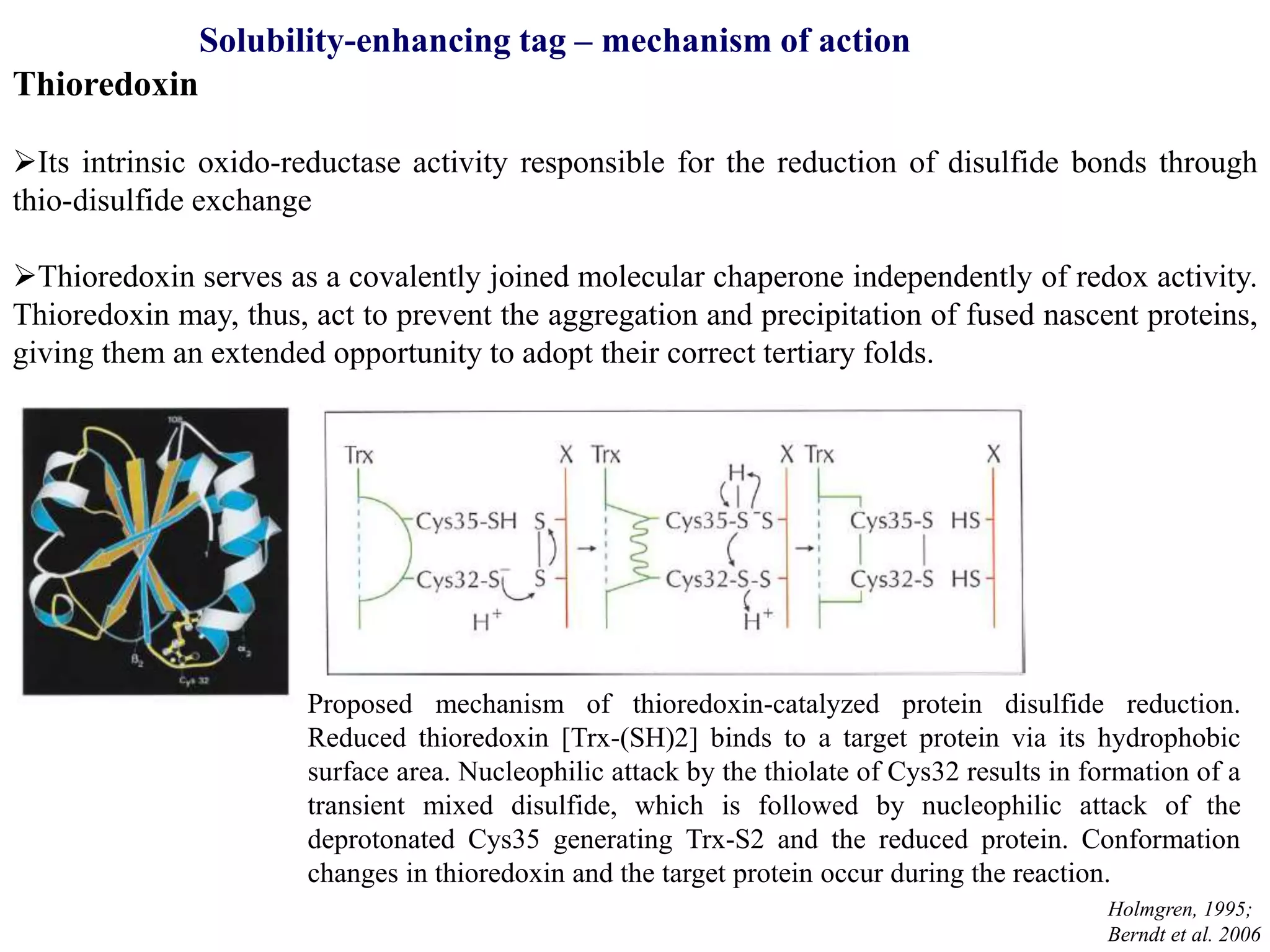 Fussion protein and affinity Purification | PPT