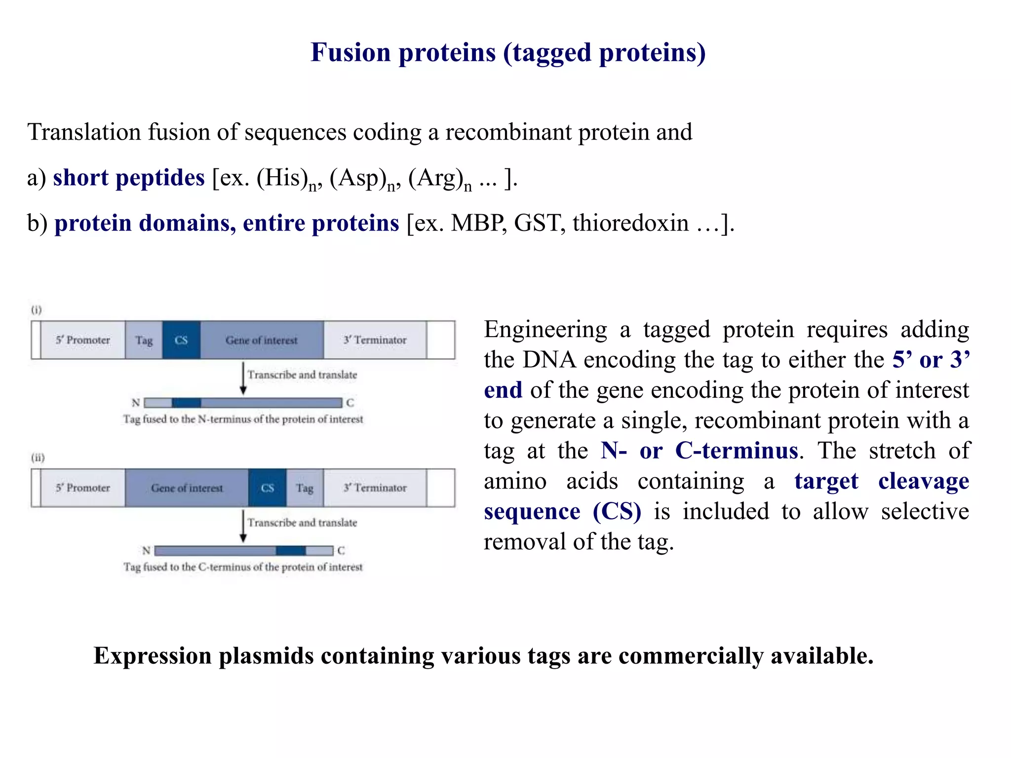 Fussion protein and affinity Purification | PPT