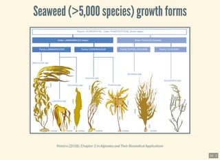 Climate change impact on macroalgae | PDF
