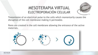 Transmission of an electrical pulse to the cells which momentarily causes the
disruption of the cell membrane making it permeable.
Pores are created in the cell membrane allowing the entrance of the active
materials.
MESOTERAPIA VIRTUAL
ELECTROPORACIÓN CELULAR
 
