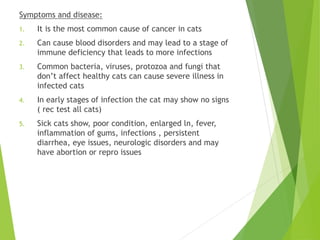 Symptoms and disease:
1. It is the most common cause of cancer in cats
2. Can cause blood disorders and may lead to a stage of
immune deficiency that leads to more infections
3. Common bacteria, viruses, protozoa and fungi that
don’t affect healthy cats can cause severe illness in
infected cats
4. In early stages of infection the cat may show no signs
( rec test all cats)
5. Sick cats show, poor condition, enlarged ln, fever,
inflammation of gums, infections , persistent
diarrhea, eye issues, neurologic disorders and may
have abortion or repro issues
 