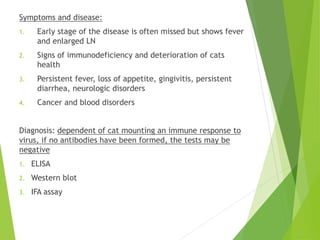 Symptoms and disease:
1. Early stage of the disease is often missed but shows fever
and enlarged LN
2. Signs of immunodeficiency and deterioration of cats
health
3. Persistent fever, loss of appetite, gingivitis, persistent
diarrhea, neurologic disorders
4. Cancer and blood disorders
Diagnosis: dependent of cat mounting an immune response to
virus, if no antibodies have been formed, the tests may be
negative
1. ELISA
2. Western blot
3. IFA assay
 