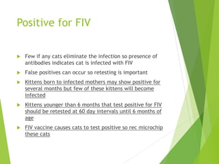 Positive for FIV
 Few if any cats eliminate the infection so presence of
antibodies indicates cat is infected with FIV
 False positives can occur so retesting is important
 Kittens born to infected mothers may show positive for
several months but few of these kittens will become
infected
 Kittens younger than 6 months that test positive for FIV
should be retested at 60 day intervals until 6 months of
age
 FIV vaccine causes cats to test positive so rec microchip
these cats
 