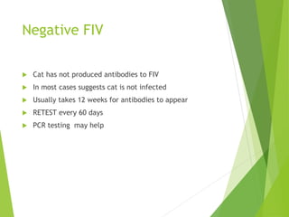 Negative FIV
 Cat has not produced antibodies to FIV
 In most cases suggests cat is not infected
 Usually takes 12 weeks for antibodies to appear
 RETEST every 60 days
 PCR testing may help
 
