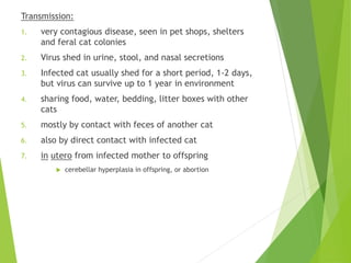 Transmission:
1. very contagious disease, seen in pet shops, shelters
and feral cat colonies
2. Virus shed in urine, stool, and nasal secretions
3. Infected cat usually shed for a short period, 1-2 days,
but virus can survive up to 1 year in environment
4. sharing food, water, bedding, litter boxes with other
cats
5. mostly by contact with feces of another cat
6. also by direct contact with infected cat
7. in utero from infected mother to offspring
 cerebellar hyperplasia in offspring, or abortion
 