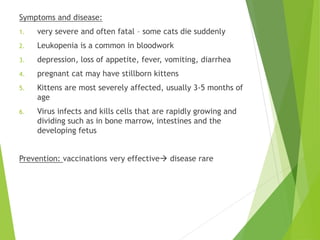 Symptoms and disease:
1. very severe and often fatal – some cats die suddenly
2. Leukopenia is a common in bloodwork
3. depression, loss of appetite, fever, vomiting, diarrhea
4. pregnant cat may have stillborn kittens
5. Kittens are most severely affected, usually 3-5 months of
age
6. Virus infects and kills cells that are rapidly growing and
dividing such as in bone marrow, intestines and the
developing fetus
Prevention: vaccinations very effective disease rare
 