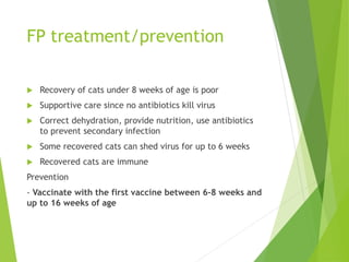 FP treatment/prevention
 Recovery of cats under 8 weeks of age is poor
 Supportive care since no antibiotics kill virus
 Correct dehydration, provide nutrition, use antibiotics
to prevent secondary infection
 Some recovered cats can shed virus for up to 6 weeks
 Recovered cats are immune
Prevention
- Vaccinate with the first vaccine between 6-8 weeks and
up to 16 weeks of age
 