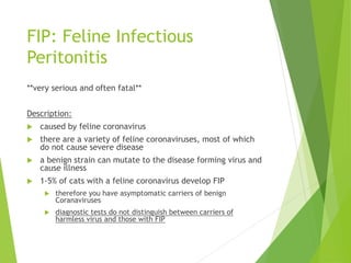 FIP: Feline Infectious
Peritonitis
**very serious and often fatal**
Description:
 caused by feline coronavirus
 there are a variety of feline coronaviruses, most of which
do not cause severe disease
 a benign strain can mutate to the disease forming virus and
cause illness
 1-5% of cats with a feline coronavirus develop FIP
 therefore you have asymptomatic carriers of benign
Coranaviruses
 diagnostic tests do not distinguish between carriers of
harmless virus and those with FIP
 