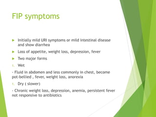 FIP symptoms
 Initially mild URI symptoms or mild intestinal disease
and show diarrhea
 Loss of appetite, weight loss, depression, fever
 Two major forms
1. Wet
- Fluid in abdomen and less commonly in chest, become
pot-bellied , fever, weight loss, anorexia
1. Dry ( slower)
- Chronic weight loss, depression, anemia, persistent fever
not responsive to antibiotics
 