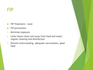 FIP
 FIP Treatment : none
 FIP prevention:
1. Minimize exposure
2. Litter boxes clean and away from food and water,
regular cleaning and disinfection
3. Prevent overcrowding, adequate vaccinations, good
food
 
