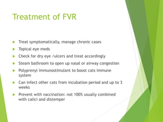 Treatment of FVR
 Treat symptomatically, manage chronic cases
 Topical eye meds
 Check for dry eye /ulcers and treat accordingly
 Steam bathroom to open up nasal or airway congestion
 Polyprenyl immunostimulant to boost cats immune
system
 Can infect other cats from incubation period and up to 3
weeks
 Prevent with vaccination: not 100% usually combined
with calici and distemper
 