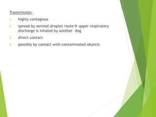 Transmission:
1. highly contagious
2. spread by aerosol-droplet route upper respiratory
discharge is inhaled by another dog
3. direct contact
4. possibly by contact with contaminated objects
 