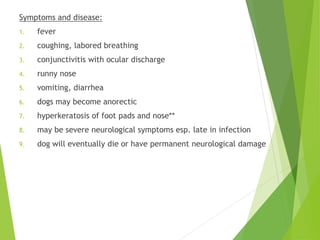 Symptoms and disease:
1. fever
2. coughing, labored breathing
3. conjunctivitis with ocular discharge
4. runny nose
5. vomiting, diarrhea
6. dogs may become anorectic
7. hyperkeratosis of foot pads and nose**
8. may be severe neurological symptoms esp. late in infection
9. dog will eventually die or have permanent neurological damage
 