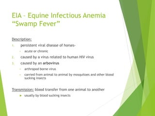 EIA – Equine Infectious Anemia
“Swamp Fever”
Description:
1. persistent viral disease of horses-
• acute or chronic
2. caused by a virus related to human HIV virus
3. caused by an arbovirus
• arthropod borne virus
• carried from animal to animal by mosquitoes and other blood
sucking insects
Transmission: blood transfer from one animal to another
 usually by blood sucking insects
 