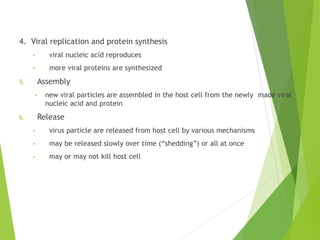 4. Viral replication and protein synthesis
• viral nucleic acid reproduces
• more viral proteins are synthesized
5. Assembly
• new viral particles are assembled in the host cell from the newly made viral
nucleic acid and protein
6. Release
• virus particle are released from host cell by various mechanisms
• may be released slowly over time (“shedding”) or all at once
• may or may not kill host cell
 