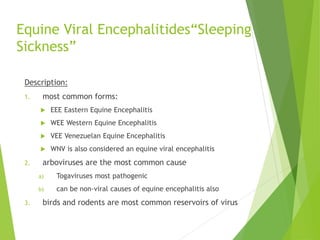 Equine Viral Encephalitides“Sleeping
Sickness”
Description:
1. most common forms:
 EEE Eastern Equine Encephalitis
 WEE Western Equine Encephalitis
 VEE Venezuelan Equine Encephalitis
 WNV is also considered an equine viral encephalitis
2. arboviruses are the most common cause
a) Togaviruses most pathogenic
b) can be non-viral causes of equine encephalitis also
3. birds and rodents are most common reservoirs of virus
 