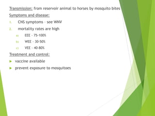 Transmission: from reservoir animal to horses by mosquito bites
Symptoms and disease:
1. CNS symptoms – see WNV
2. mortality rates are high
a) EEE – 75-100%
b) WEE – 30-50%
c) VEE – 40-80%
Treatment and control:
 vaccine available
 prevent exposure to mosquitoes
 