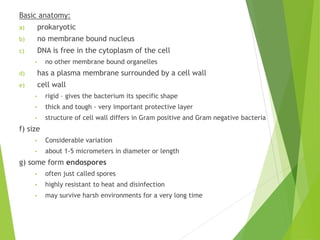 Basic anatomy:
a) prokaryotic
b) no membrane bound nucleus
c) DNA is free in the cytoplasm of the cell
• no other membrane bound organelles
d) has a plasma membrane surrounded by a cell wall
e) cell wall
• rigid – gives the bacterium its specific shape
• thick and tough - very important protective layer
• structure of cell wall differs in Gram positive and Gram negative bacteria
f) size
• Considerable variation
• about 1-5 micrometers in diameter or length
g) some form endospores
• often just called spores
• highly resistant to heat and disinfection
• may survive harsh environments for a very long time
 