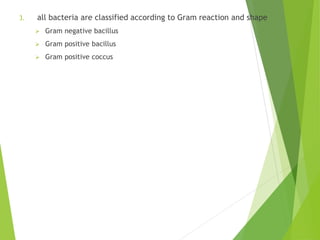 3. all bacteria are classified according to Gram reaction and shape
 Gram negative bacillus
 Gram positive bacillus
 Gram positive coccus
 