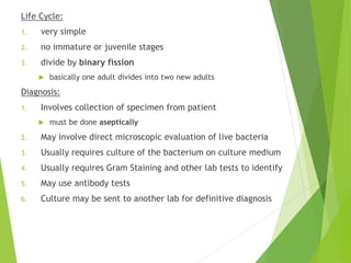 Life Cycle:
1. very simple
2. no immature or juvenile stages
3. divide by binary fission
 basically one adult divides into two new adults
Diagnosis:
1. Involves collection of specimen from patient
 must be done aseptically
2. May involve direct microscopic evaluation of live bacteria
3. Usually requires culture of the bacterium on culture medium
4. Usually requires Gram Staining and other lab tests to identify
5. May use antibody tests
6. Culture may be sent to another lab for definitive diagnosis
 