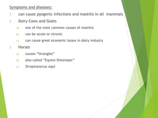 Symptoms and diseases:
1. can cause pyogenic infections and mastitis in all mammals
2. Dairy Cows and Goats
a) one of the most common causes of mastitis
b) can be acute or chronic
c) can cause great economic losses in dairy industry
3. Horses
a) causes “Strangles”
b) also called “Equine Distemper”
c) Streptococcus equi
 
