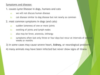 Symptoms and disease:
1. causes Lyme Disease in dogs, humans and cats
a) we will not discuss human disease
b) cat disease similar to dog disease but not nearly as common
2. most common symptoms in dogs (and cats)
a) sudden lameness of one or more joints
b) swelling of joints and lymph nodes
c) also may be fever, anorexia, lethargy
d) symptoms often last only three or four days but recur at intervals of several
weeks or months
3) in some cases may cause severe heart, kidney, or neurological problems
4) many animals may have been infected but never show signs of illness
 