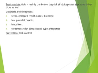 Transmission: ticks - mainly the brown dog tick (Rhipicephalus spp.) and other
ticks as well
Diagnosis and treatment:
1. fever, enlarged lymph nodes, bleeding
2. low platelet counts
3. blood test
4. treatment with tetracycline type antibiotics
Prevention: tick control
 