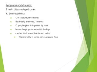 Symptoms and diseases:
3 main diseases/syndromes
1. Enterotoxemia
a) Clostridium perfringens
b) dysentery. diarrhea, toxemia
c) C. perfringens is ingested by host
d) hemorrhagic gastroenteritis in dogs
e) can be fatal in ruminants and swine
 high mortality in lambs, calves, pigs and foals
 