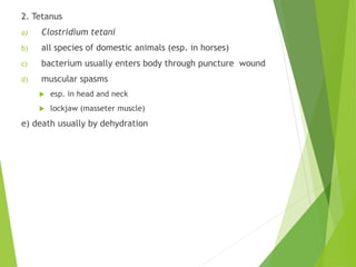 2. Tetanus
a) Clostridium tetani
b) all species of domestic animals (esp. in horses)
c) bacterium usually enters body through puncture wound
d) muscular spasms
 esp. in head and neck
 lockjaw (masseter muscle)
e) death usually by dehydration
 