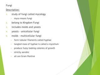 Fungi
Description:
1. study of fungi called mycology
• myco means fungi
2. belong to Kingdom Fungi
3. includes molds and yeasts
4. yeasts – unicellular fungi
5. molds – multicellular fungi
• form tubular filaments called hyphae
• tangled mass of hyphae is called a mycelium
• produce fuzzy looking colonies of growth
• strictly aerobic
• all are Gram Positive
 
