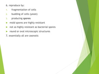 6. reproduce by:
1. fragmentation of cells
2. budding of cells (yeast)
3. producing spores
 mold spores are highly resistant
 not as highly resistant as bacterial spores
 round or oval microscopic structures
7. essentially all are zoonotic
 