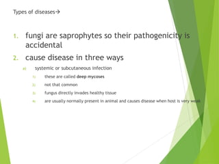 Types of diseases
1. fungi are saprophytes so their pathogenicity is
accidental
2. cause disease in three ways
a) systemic or subcutaneous infection
1) these are called deep mycoses
2) not that common
3) fungus directly invades healthy tissue
4) are usually normally present in animal and causes disease when host is very weak
 