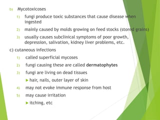 b) Mycotoxicoses
1) fungi produce toxic substances that cause disease when
ingested
2) mainly caused by molds growing on feed stocks (stored grains)
3) usually causes subclinical symptoms of poor growth,
depression, salivation, kidney liver problems, etc.
c) cutaneous infections
1) called superficial mycoses
2) fungi causing these are called dermatophytes
3) fungi are living on dead tissues
 hair, nails, outer layer of skin
4) may not evoke immune response from host
5) may cause irritation
 itching, etc
 