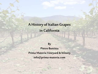 A History of ItalianGrapes
in California
By
Pietro Buttitta
Prima Materia Vineyard & Winery
info@prima-materia.com
 