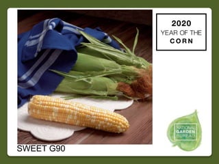 2020 NGB Year of the Corn Slide 49