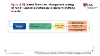 www.escardio.org/guidelines
2020 ESC Guidelines for the management of acute coronary syndromes in patients presenting without
persistent ST-segment elevation (European Heart Journal 2020 - doi/10.1093/eurheartj/ehaa575)
©ESC
Figure 13 (4) Central illustration. Management strategy
for non-ST-segment elevation acute coronary syndrome
patients.
 