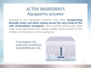 ACTIVE INGREDIENTS
Aquaporins actuator
Aquaporins are membrane proteins that allow transporting
basically water and other solutes across the very inside of the
cells (transcellular transport). Their quantity and quality allow
water to be distributed and spread suitably across all parts of the
middle and deep layers of the epidermis.
IT INCREASES THE
LEVELS OF CUTANOUS
AQUAPORINS BY 36%
13
 