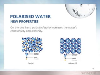 On the one hand polarised water increases the water’s
conductivity and alkalinity.
NEW PROPERTIES
POLARISED WATER
Pure H2O Polarised H2O
14
 