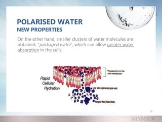 On the other hand, smaller clusters of water molecules are
obtained, “packaged water”, which can allow greater water
absorption in the cells.
POLARISED WATER
NEW PROPERTIES
15
 