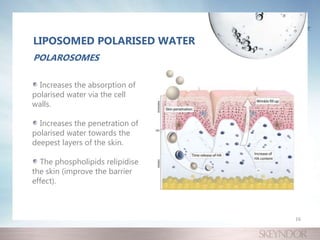 LIPOSOMED POLARISED WATER
POLAROSOMES
Increases the absorption of
polarised water via the cell
walls.
Increases the penetration of
polarised water towards the
deepest layers of the skin.
The phospholipids relipidise
the skin (improve the barrier
effect).
16
 