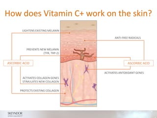 How does Vitamin C+ work on the skin?
ASCORBIC ACID
LIGHTENS EXISTING MELANIN
PREVENTS NEW MELANIN
(TYR, TRP-2)
ACTIVATES COLLAGEN GENES
STIMULATES NEW COLLAGEN
PROTECTS EXISTING COLLAGEN
ASCORBIC ACID
ANTI-FREE RADICALS
ACTIVATES ANTOXIDANT GENES
 