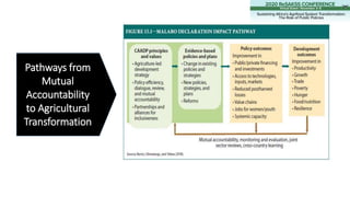 Pathways from
Mutual
Accountability
to Agricultural
Transformation
 