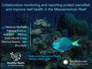 Melanie McField
Patricia Kramer
Ana Giró Mélina
Soto Nicole Craig
Marisol Rueda. Ian
Drysdale
Herbivory to Improve Reef Health
Webinar June 25, 2020
Collaborative monitoring and reporting protect parrotfish
and improve reef health in the Mesoamerican Reef
 