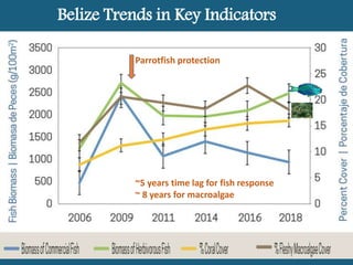 Guatemala 12 year trends
Parrotfish protection
 