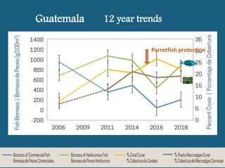 México 12 year trends
Parrotfish protection
 